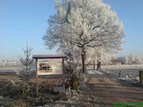 Camping De Kleverkamp 4