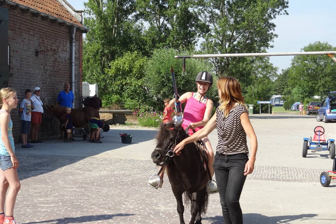 Camping De Kreekrug 5