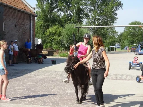 Camping De Kreekrug 4