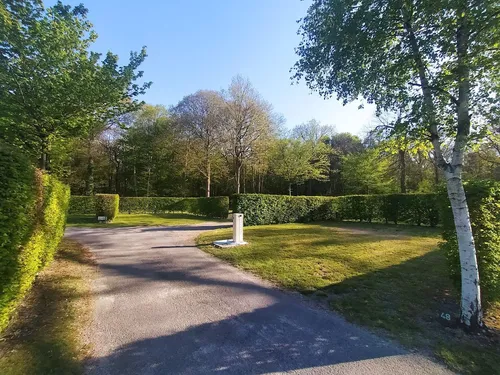 Camping de la Forêt 5