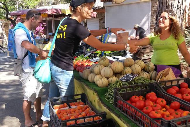 Découverte du Marché Provençal au Camping, fruits et légumes de saison.Discovery of the Provençal Market at the campsite, seasonal fruits and vegetables.