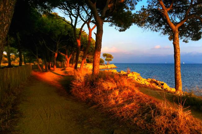 La plage des Salins ... pour e baigner, pour marcher, pour admirer les flamants roses !
The beach of Salins ..to walk, to admire the flamingos!