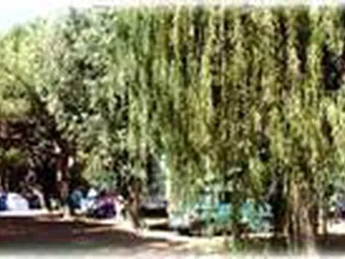 Camping De La Plage 5