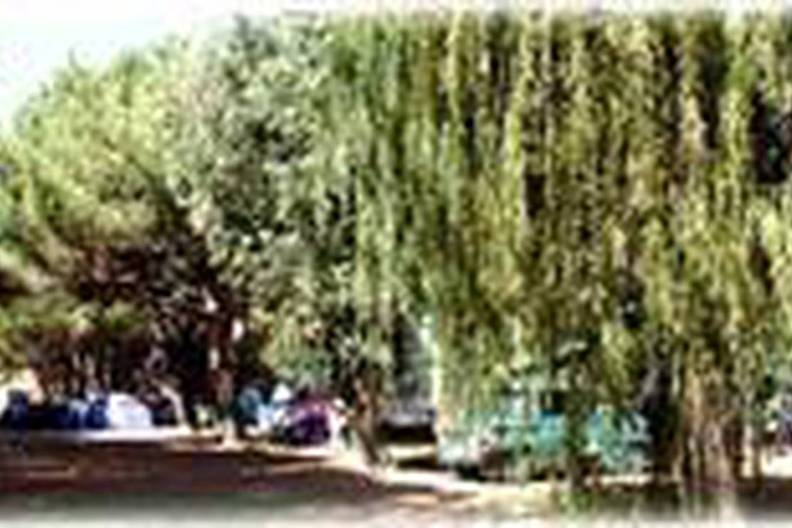 Camping De La Plage 6