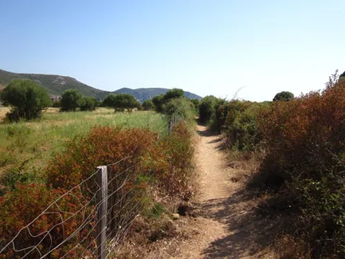 Camping De La Plage D'arone 7