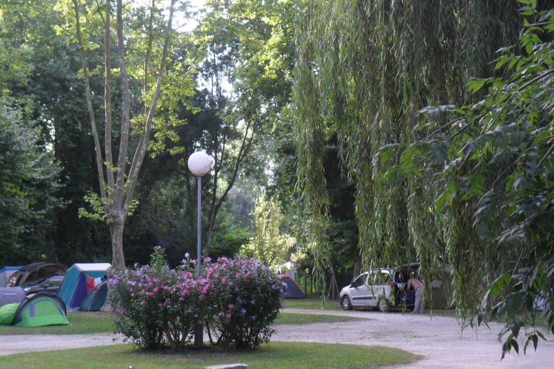 Camping de la Taillée 4
