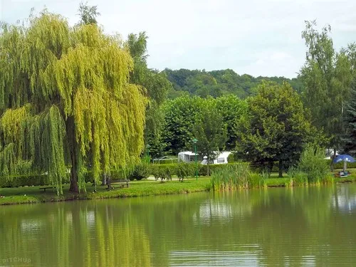 Camping de l'Aigrette 6