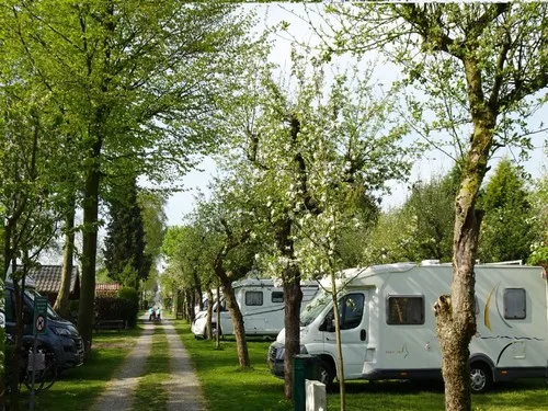 Camping De Linie 5