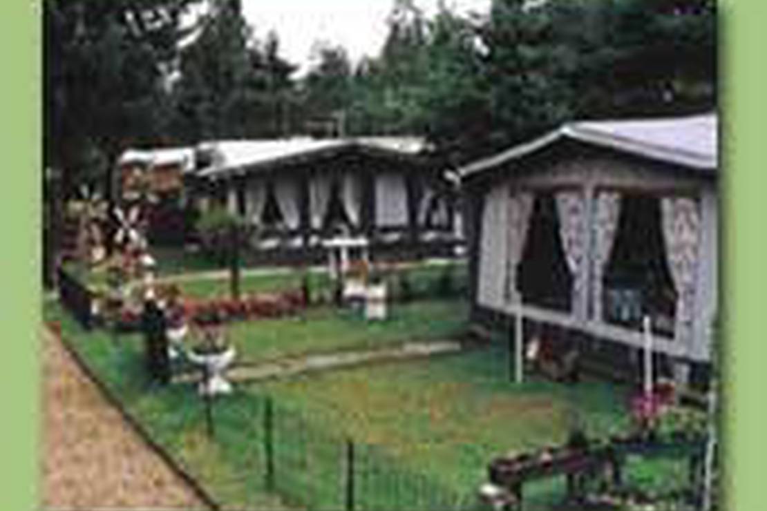 Camping De Maarnse Berg 5