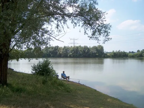 Camping De Maashoeve 6