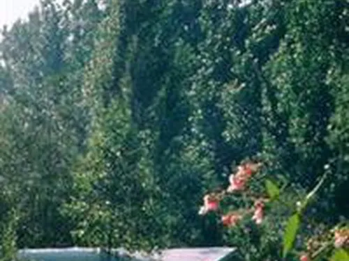 Camping De Mus'donck 3