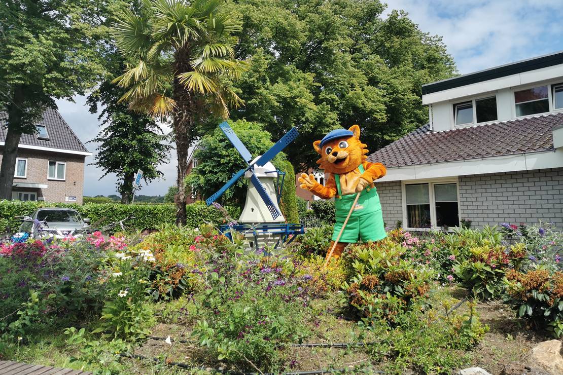 Vakantiepark de Oude Molen 5