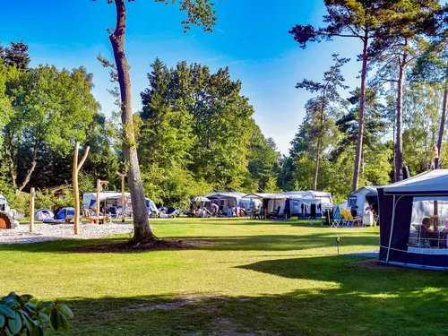 Camping De Paalberg 7