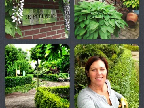 Camping De Peelweide 5