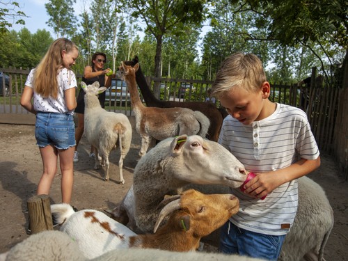 Capfun Camping de Pekelinge 2