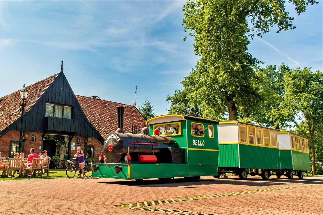 Camping De Rammelbeek 5