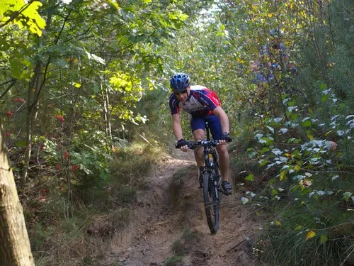 Camping De Reeënwissel 5