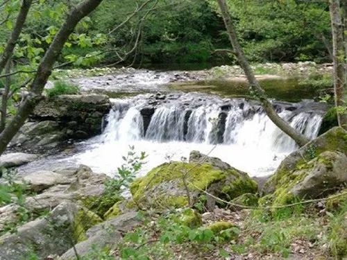 Camping de Retourtour 5