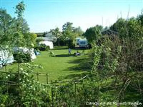 Camping De Rijnstrangen 5