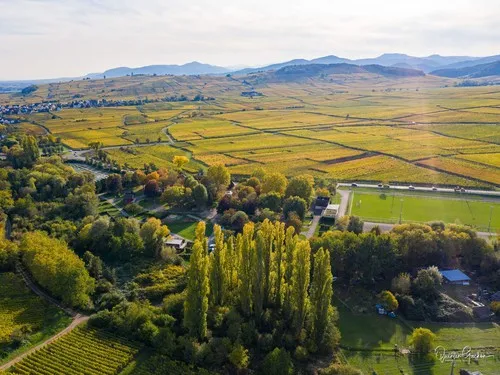 Camping de Riquewihr 8