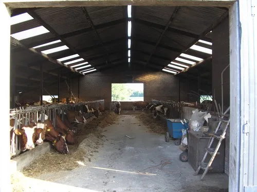 Camping de Stippelberg 5