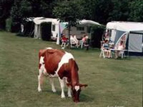 Camping De Tienmorgen 2