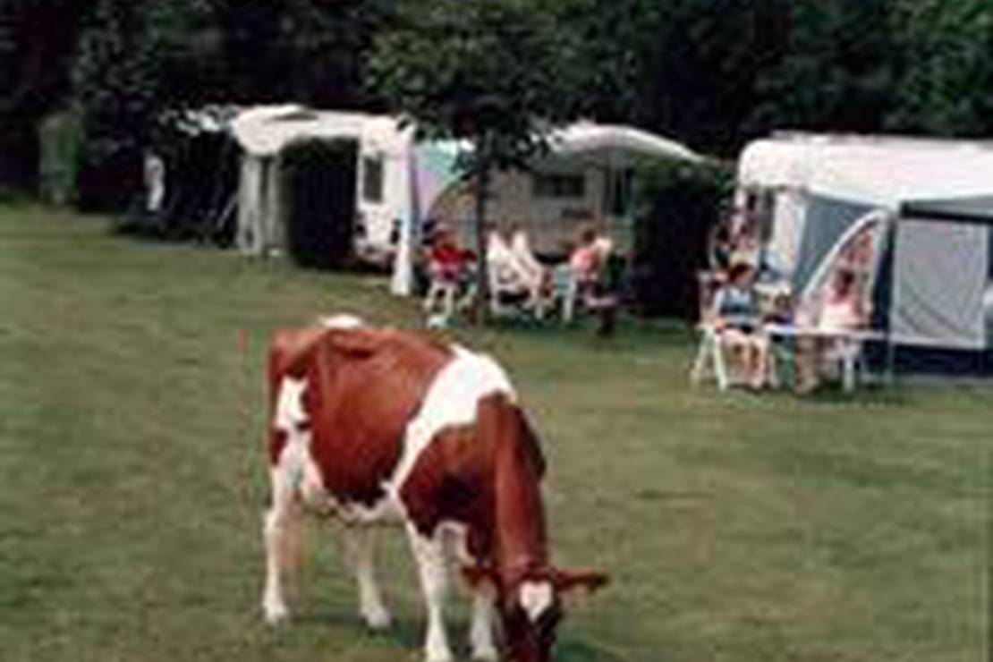 Camping De Tienmorgen 3