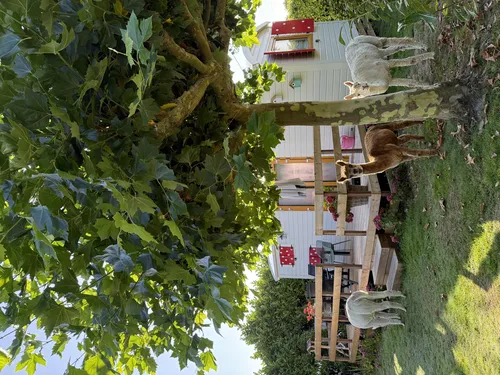 Camping De Toekomst 6