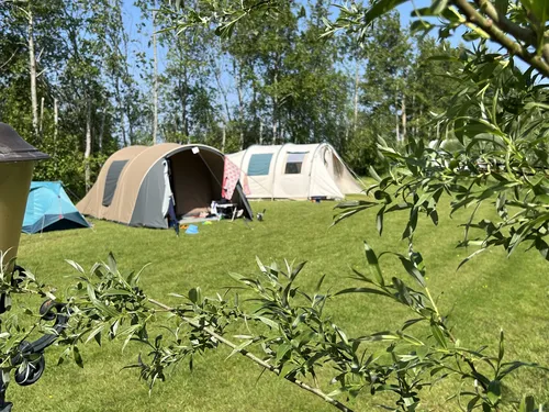 Camping De Toffe Peer 5