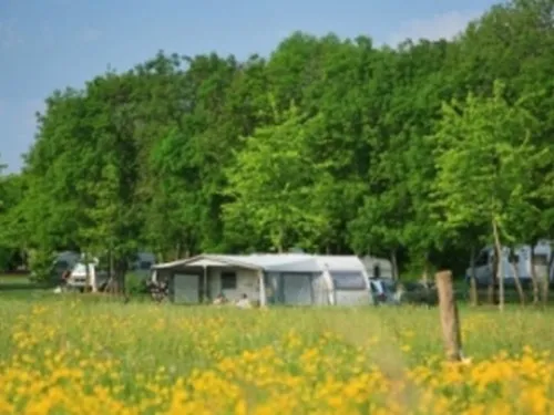Camping de Tournus 10