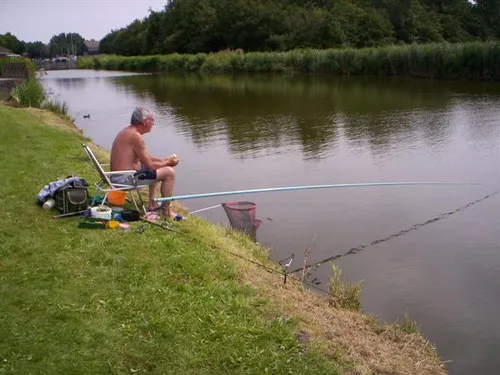 Camping de Tulpenweide 5