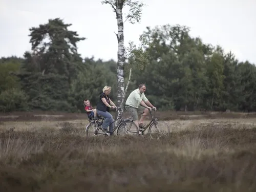 Camping De Ullingse Bergen 5