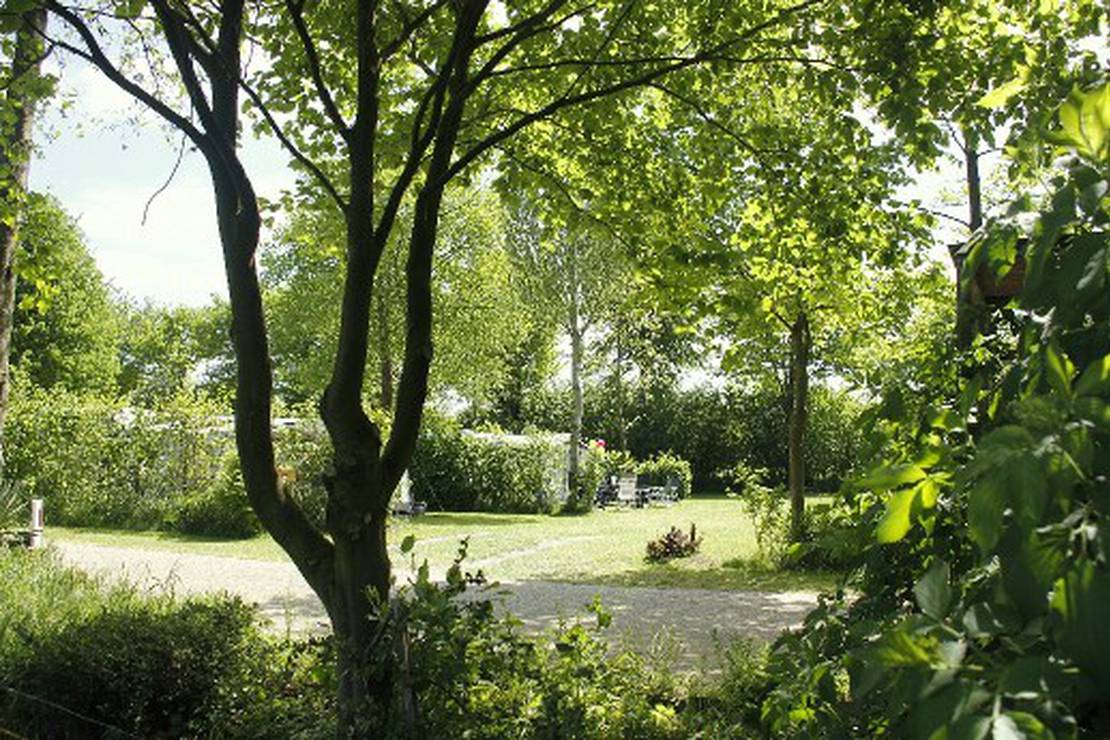 Camping De Veldmeijer 4