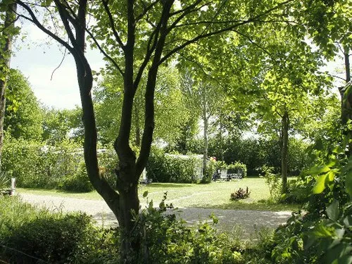 Camping De Veldmeijer 3