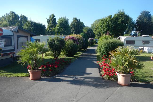 Footpath on the campsite
