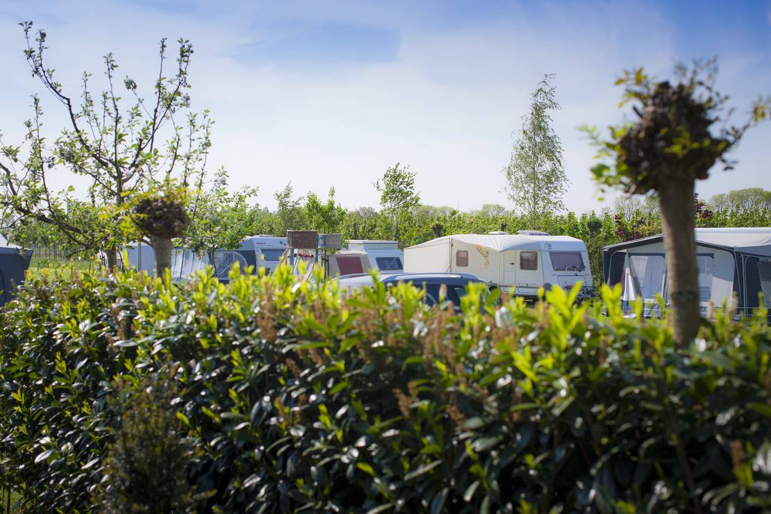 Camping de Vijverhof 4