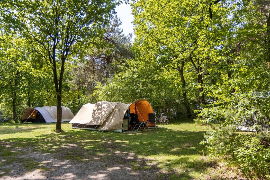 Camping De Vossenburcht 4