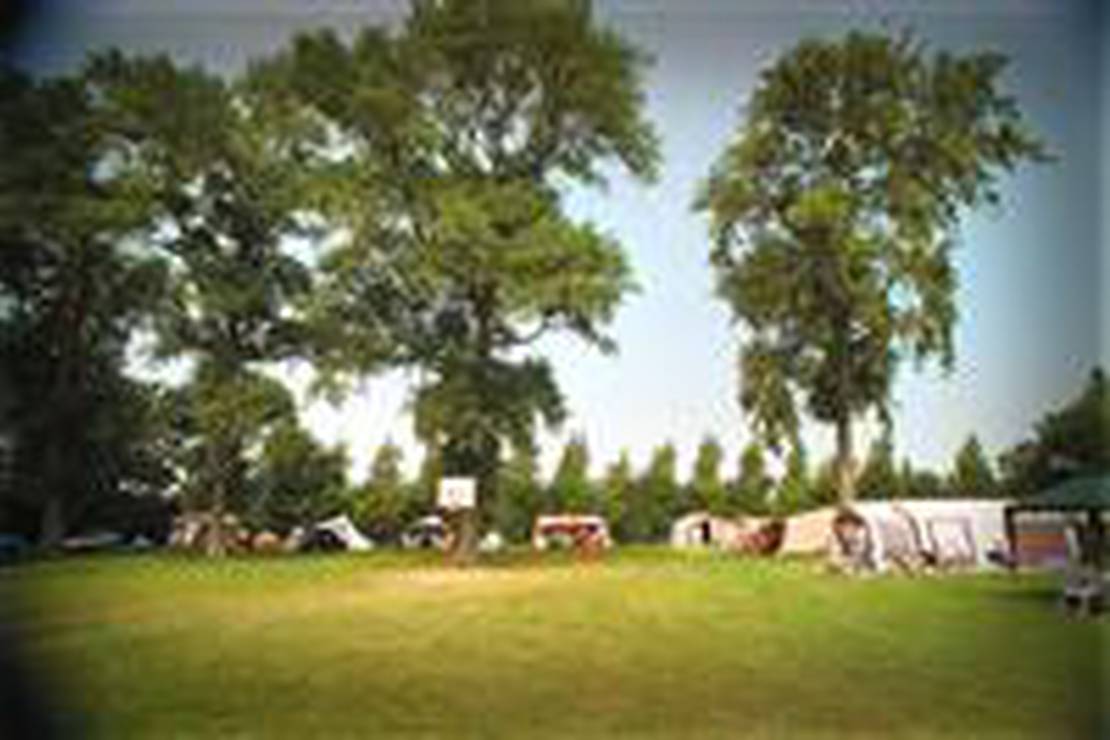 Camping De Wielewaal 4