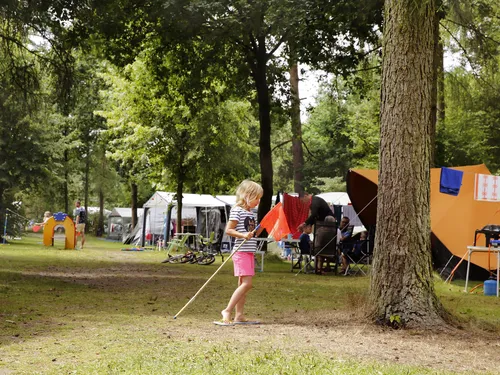 Camping De Wildhoeve 6