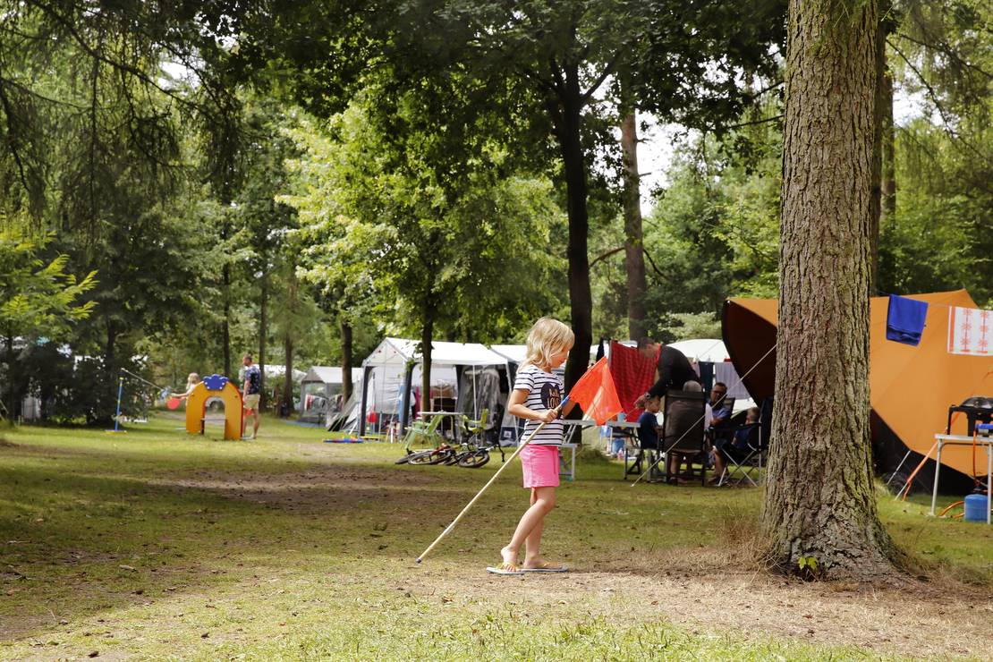 Camping De Wildhoeve 7