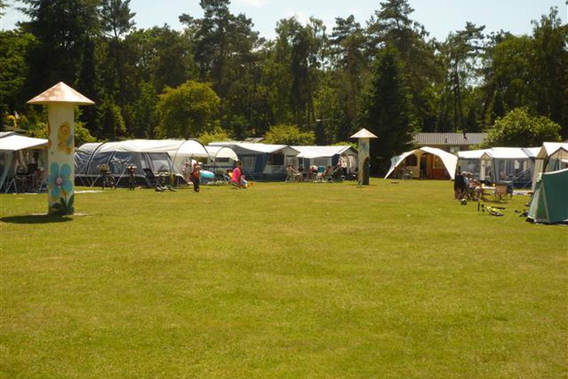 Camping De Zanderij 4