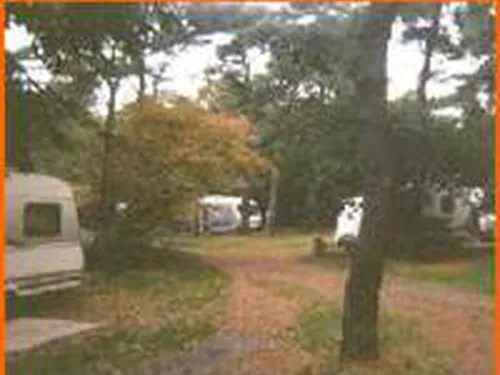 Camping De Zonnehoek 5