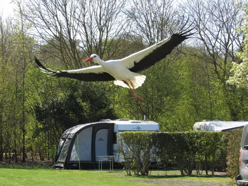 Strandcamping De Zwinhoeve 7