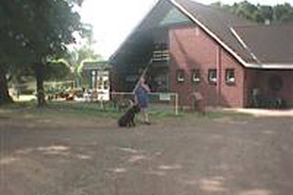 Camping Dennenlust 4