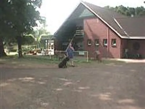 Camping Dennenlust 3