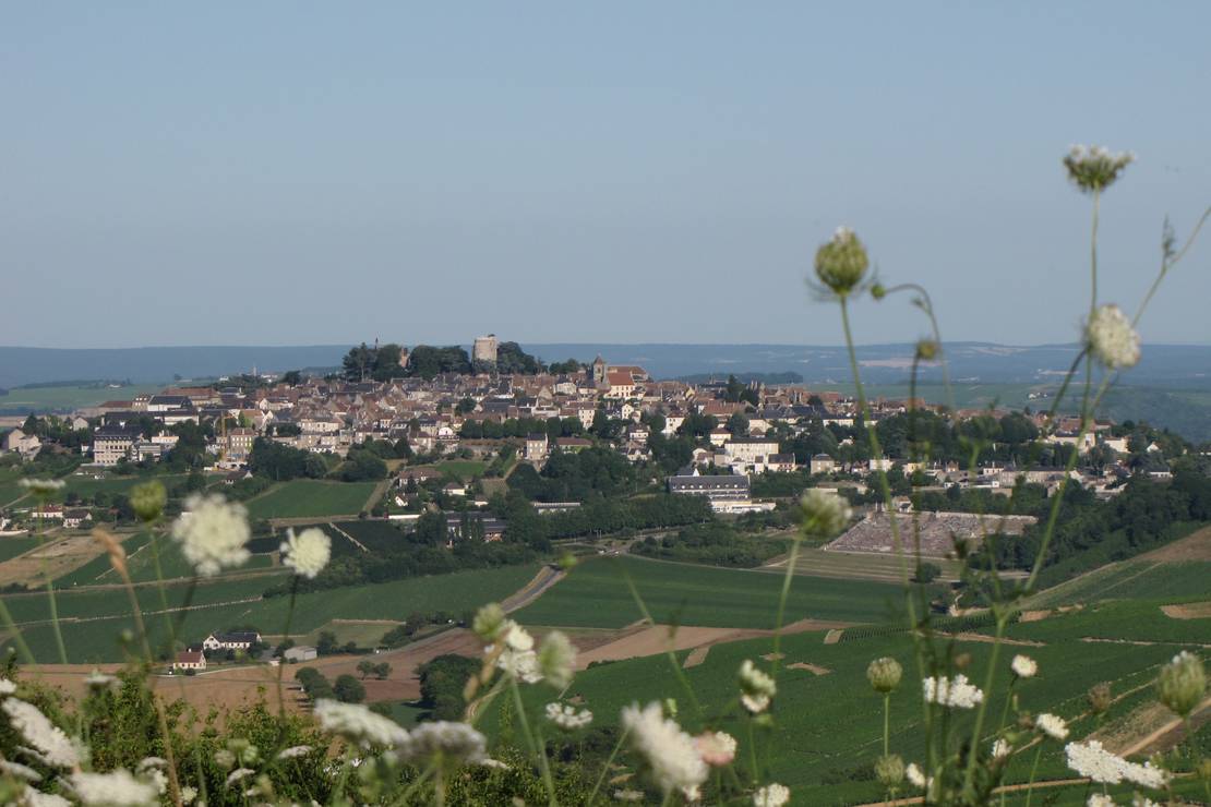 Camping Des Etangs 5