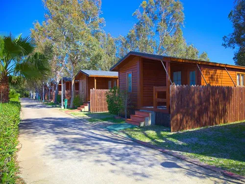 Camping Devesa Gardens 6