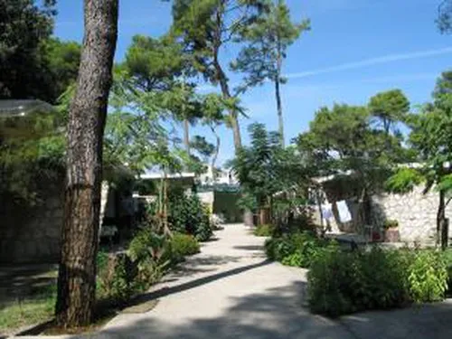 Camping Diana & Josip 3