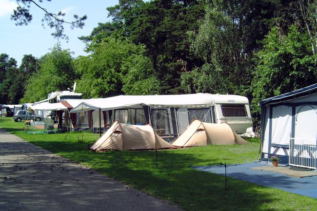 luxe plaatsen 120m2 aan de bosrandlaan