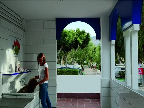 Camping Don Cactus 10